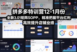 拼多多特训营12-1月份,全新3.01矩阵Sop,精准把握平台红利,高效提升店铺业绩-网创资源站