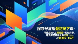 视频号直播盈利线下课：付费投流+三频共振+私域升单，两天两夜打通盈利闭环，月利润5-15万-网创资源站