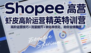 Shopee虾皮高阶运营精英特训营,高阶运营技巧+流量提升+转化率优化,助你业绩翻倍-网创资源站