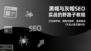 黑帽与灰帽SEO实战的野路子教程：泛目录秒收，蜘蛛池搭桥，霸屏截流，7天抢占首页暴利词-网创资源站