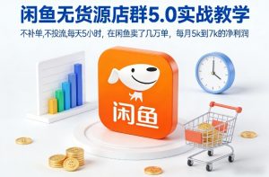 闲鱼无货源店群5.0实战教学，不补单，不投流，每天5小时，在闲鱼卖了几万单，每月5k到7k的净利润-网创资源站