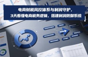 电商财税风控体系与利润守护，3天看懂电商税务逻辑，搭建利润防御系统-网创资源站