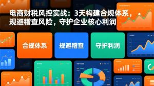 电商财税风控实战:3天构建合规体系,规避稽查风险,守护企业核心利润-网创资源站