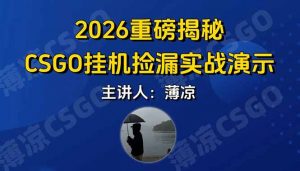 CSGO游戏挂机游戏搬砖最新升级，普通小白一部手机可日入300+当天见结果，支持验证-网创资源站