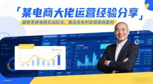 某电商大佬运营经验分享,最新系统电商实战玩法,跳出低毛利实现高效盈利-网创资源站
