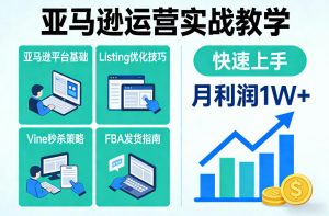 亚马逊运营实战教学,亚马逊平台+Listing优化+Vine秒杀+FBA发货等,快速上手,实现店铺月利润1W-网创资源站