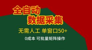 全自动数据采集项目，无需人工，单窗口可达50+收益，操作简单无难度，一个人也能轻松实现矩阵【揭秘】-网创资源站