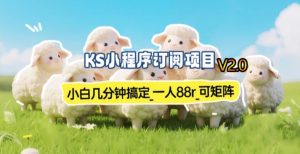 【新一期】小程序订阅_小白几分钟70-80r，可矩阵(已测到账)-网创资源站