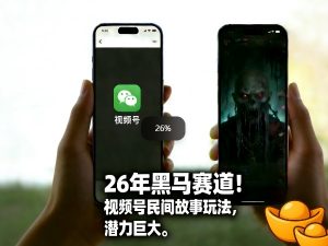 26年黑马赛道,视频号民间故事类玩法,潜力巨大,每日收益超5张-网创资源站