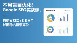 不用盲目优化!Google SEO实战课,靠语义SEO+E-E-A-T,长期稳占搜索高位-网创资源站