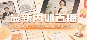 最新内训直播,4天系统教学,一线实战派干货核心玩法全套复盘-网创资源站