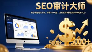 SEO审计大师:教你精通网站分析,修复SEO问题,为有效的审核收费5000美元以上!-网创资源站