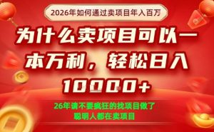 一单净利润1K+，26年想年入100个W，死磕卖项目就够了【揭秘】-网创资源站