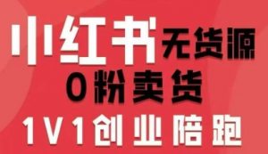 小红书无货源0粉电商课,开店准备、选品策略、笔记撰写、视频剪辑、数据分析、账号打造、资料文档(更新26年3月)-网创资源站