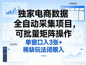独家电商数据全自动采集项目，可批量矩阵操作，单窗口日入3张+，稀缺玩法闭眼入【揭秘】-网创资源站
