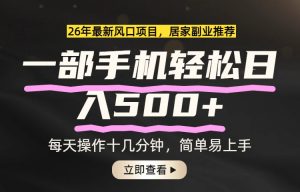 26年居家副业首选，一部手机轻松日入500+，长期稳定可做-网创资源站