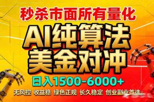 2026全网首发黑马项目,AI美金算法对冲,日入2000-6000+,稳定长效0风险,彻底告别996死工资-网创资源站