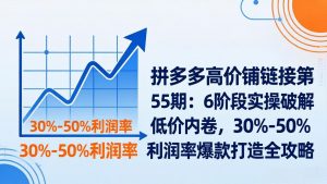 拼多多高价铺链接第55期：6阶段实操破解低价内卷，30%-50%利润率爆款打造全攻略-网创资源站