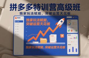 拼多多特训营高阶班,独家玩法赋能,突破运营天花板(更新26年3月27日)-网创资源站