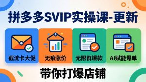 拼多多SVIP实操课-26年4月，截流卡大促+无痕涨价+无限群爆款+AI赋能爆单新玩法，带你打爆店铺-网创资源站