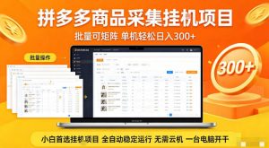 拼多多商品信息全自动采集项目，批量可矩阵，单机轻松日入300+，无需云机一台电脑开干【揭秘】-网创资源站