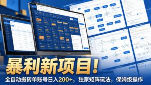 暴利新项目！全自动搬砖单账号日入200+，独家矩阵玩法，保姆级操作【揭秘】-网创资源站