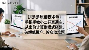 拼多多原创技术课：手把手教小二开直通车，从出价计算到模式搭建，破解低投产、冷启动难题-网创资源站