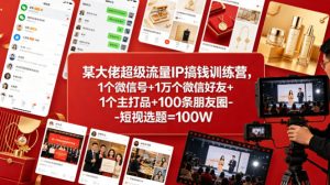 某大佬超级流量IP搞钱训练营，1个微信号+1万个微信好友+1个主打品+100条朋友圈-短视选题=100W-网创资源站