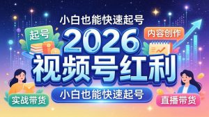 2026视频号红利实战营，大佬亲授起号、内容、直播、IP、投流、私域、矩阵全套落地打法-网创资源站