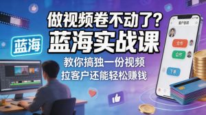 做视频卷不动了？蓝海实战课教你搞独一份视频，拉客户还能轻松賺钱！【原创双语字幕】-网创资源站