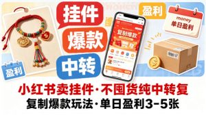 小红书卖挂件，不囤货纯中转复制爆款玩法，单日盈利3-5张-网创资源站