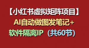 小红书虚拟矩阵项目:软件隔离IP+AI自动做图发笔记(共60节)-网创资源站
