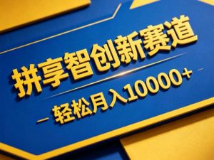 拼享智创新赛道，轻松月入1W+，门槛极低、收益稳定、可长期放大的轻资产项目【揭秘】-网创资源站