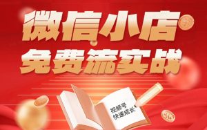 微信小店免费流实战，有货源无货源双模式，从开店到爆单全实操课，小白也能月入1W+-网创资源站