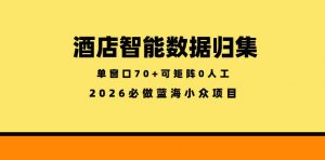 酒店智能数据归集，小众蓝海已经稳定半年之久，单窗口70+零成本矩阵开干【揭秘】-网创资源站