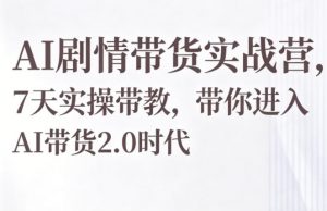 AI剧情带货实战营，7天实操带教，带你进入AI带货2.0时代-网创资源站