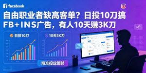 自由职业者缺高客单？日投10刀搞FB+INS广告，有人10天赚3K刀！【原创双语字幕】-网创资源站