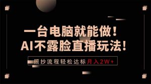 一台电脑就能做！AI不露脸直播玩法，照抄流程轻松达标月入2W+-网创资源站