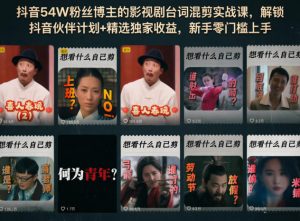 抖音54W粉丝博主的影视剧台词混剪实战课,解锁抖音伙伴计划+精选独家收益,新手零门槛上手-网创资源站