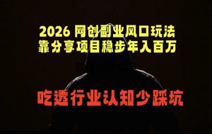 2026 网创副业风口玩法,靠分享项目稳步年入百万,吃透行业认知少踩坑-网创资源站