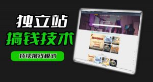 干货来袭!麦子甜带你吃透独立站|从搭建到引流一站式教学《独立站》第一期-网创资源站