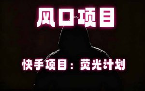 快手风口项目，荧光计划托管，长期稳定，适合批量做-网创资源站