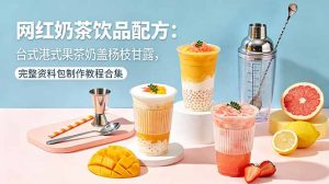 网红奶茶饮品配方：台式港式果茶奶盖杨枝甘露，完整资料包制作教程合集-网创资源站