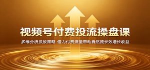 视频号付费投流操盘课：多维分析投放策略，借力付费流量带动自然流长效增长收益-网创资源站