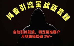 抖音引流实战新套路，挂机自动引流截流精准锁定客户，月收益破 2W+-网创资源站