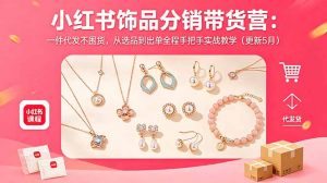 小红书饰品分销带货营：一件代发不囤货，从选品到出单全程手把手实战教学(更新5月-网创资源站
