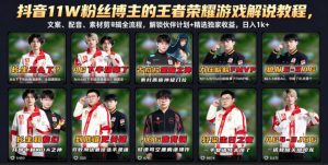 抖音11W粉丝博主的王者荣耀游戏解说教程，文案、配音、素材剪辑全流程，解锁伙伴计划+精选独家收益，日入1k+-网创资源站