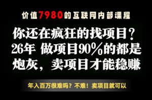 26年请不要疯狂的找项目了,卖项目远比你想象的暴利,你也可以月入10W+【揭秘】-网创资源站