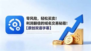 零风险,轻松买卖!利润翻倍的域名交易秘籍!【原创双语字幕】-网创资源站