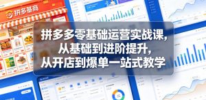 拼多多零基础运营实战课,从基础到进阶提升,从开店到爆单一站式教学-网创资源站